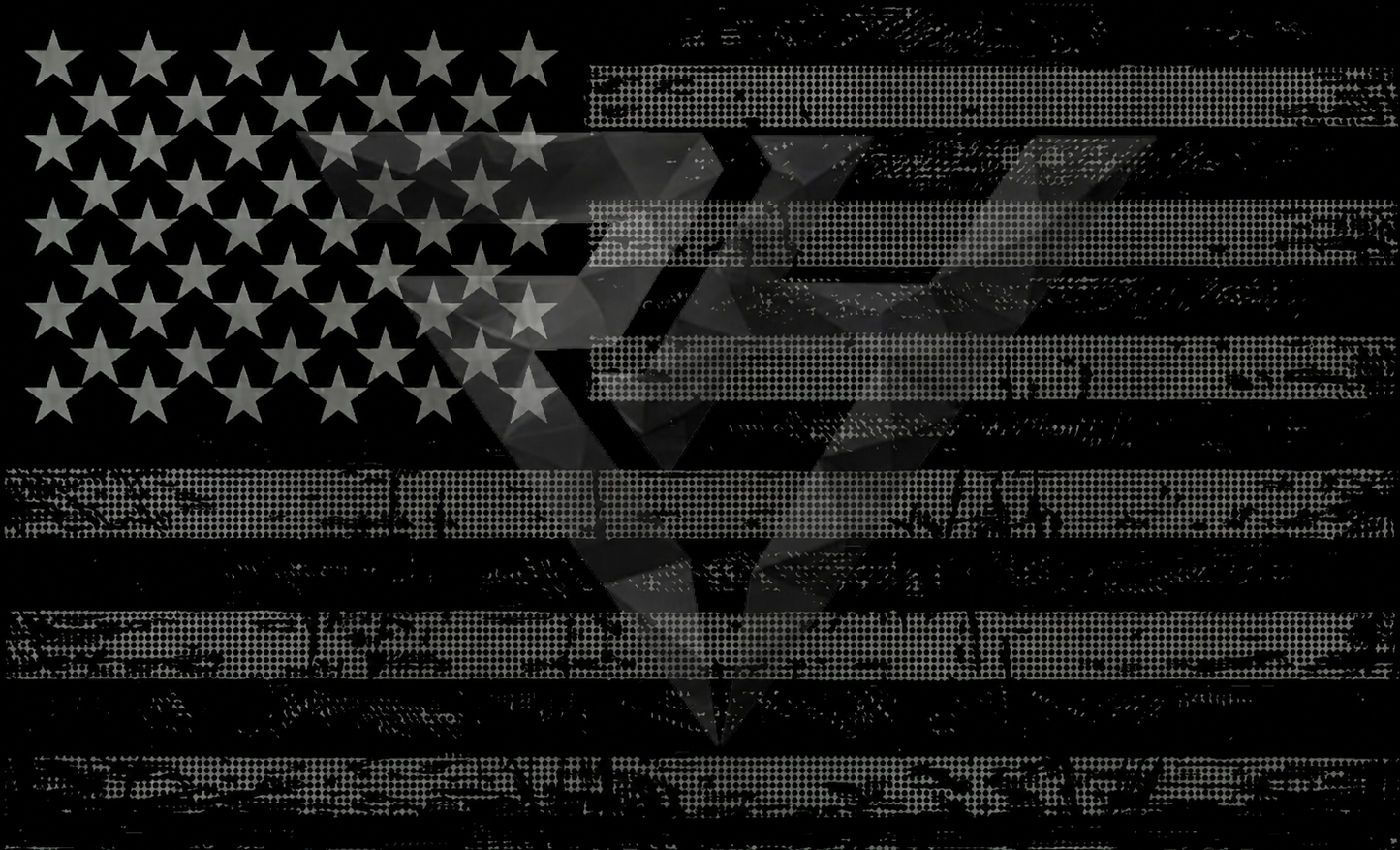 RONIN 5X3 Distressed Flag
