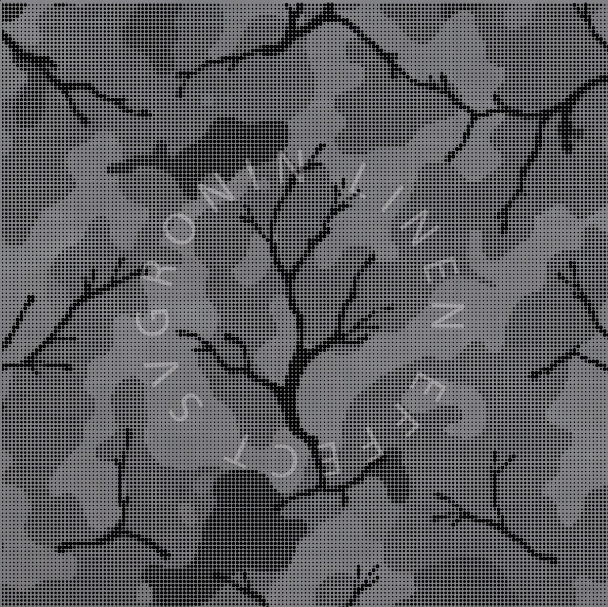 RONIN 5X5 CAMO TWIG VARIANT