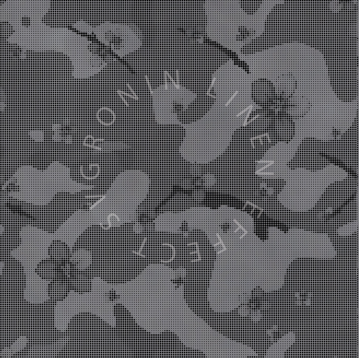 RONIN 4X4 CAMO CHERRY BLOSSOM VARIANT 1