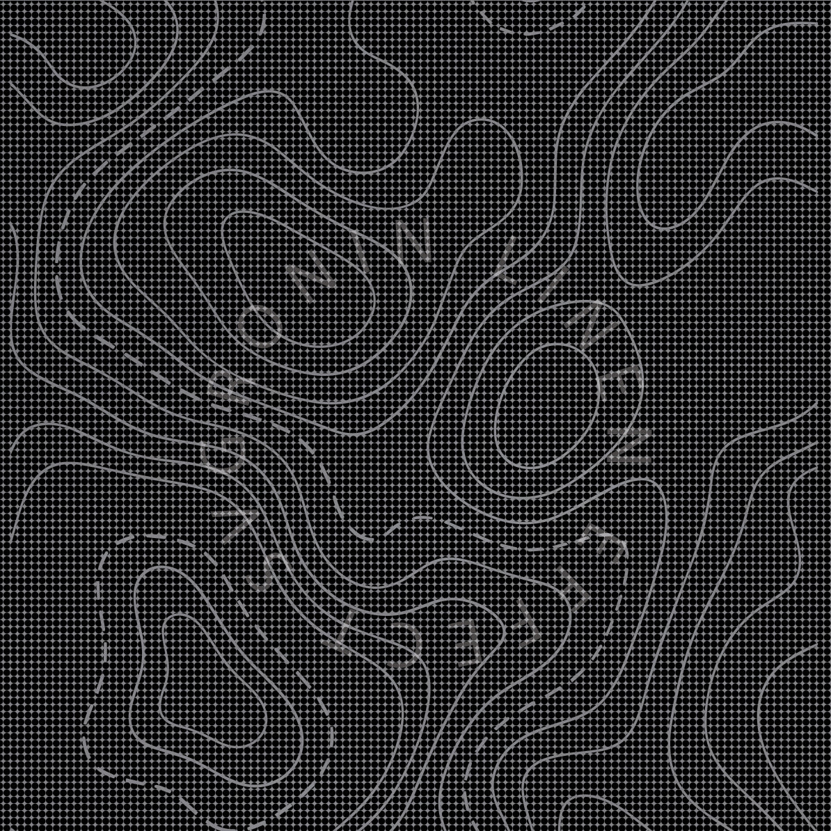 RONIN 4X4 TOPOGRAPHIC LINEN