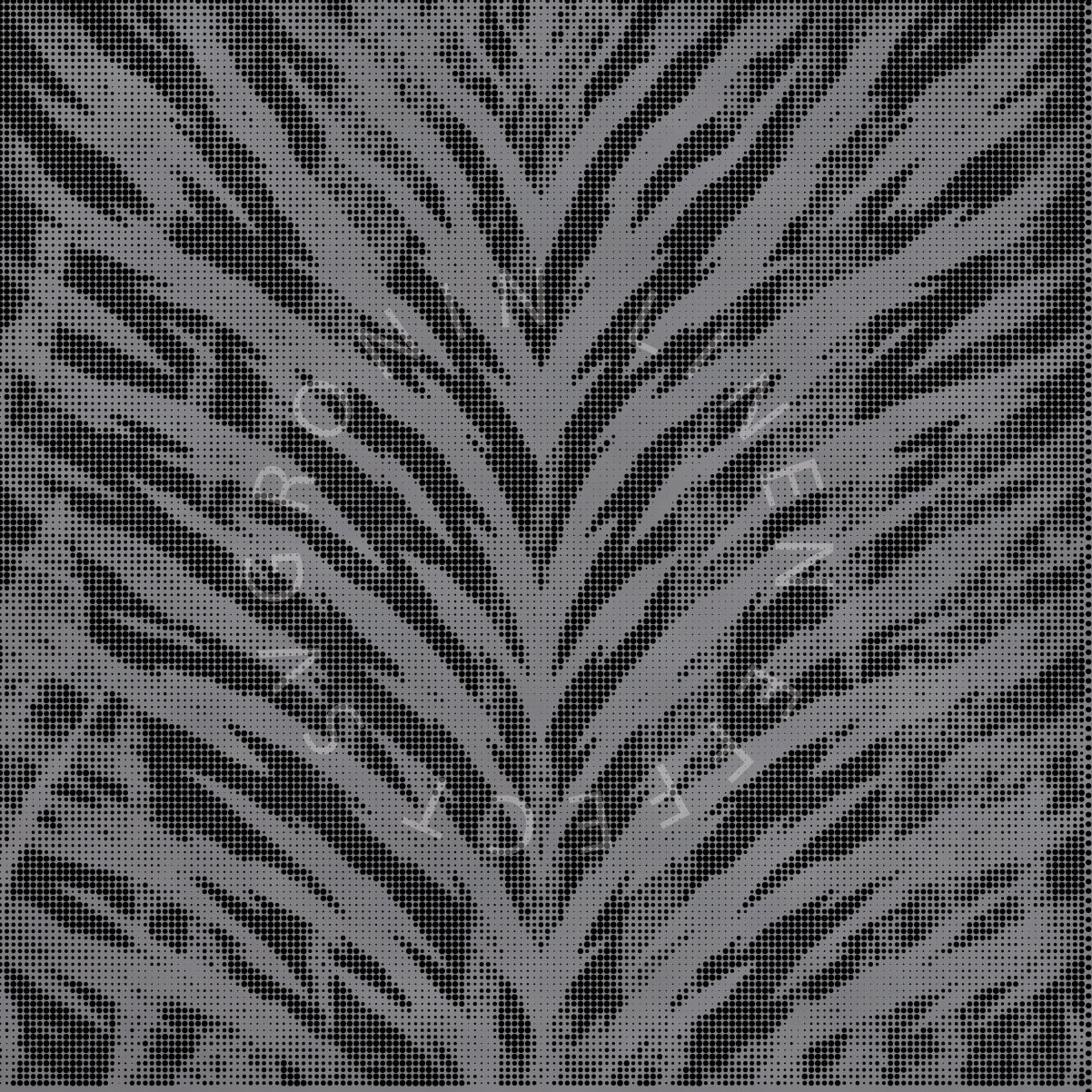 RONIN 5X5 TIGER VARIANT 2 & 3