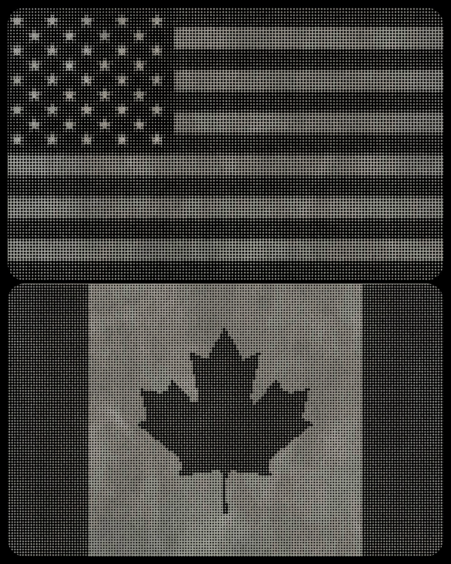 RONIN 4X2 REGULAR CANADA AND US FLAG