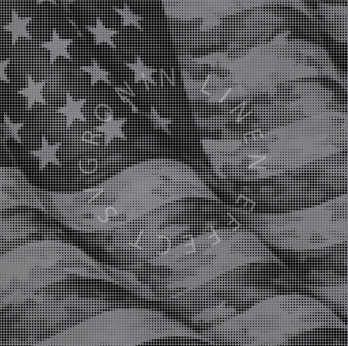 RONIN 5X3 CAMO WAVING US FLAG