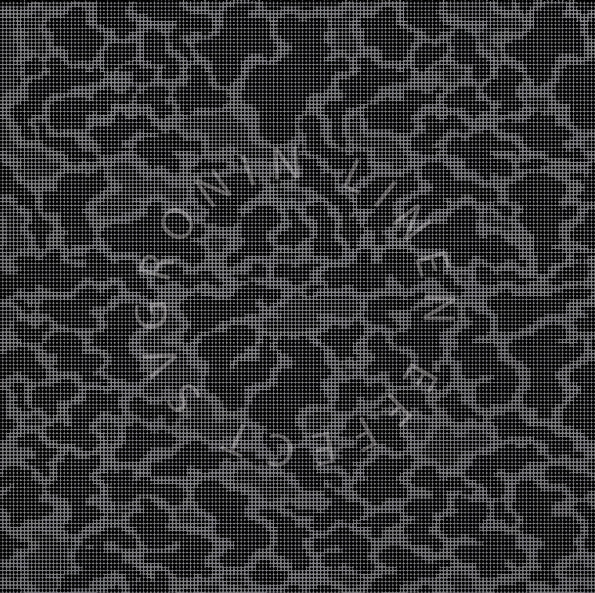 RONIN 5X5 CAMO VARIANT2