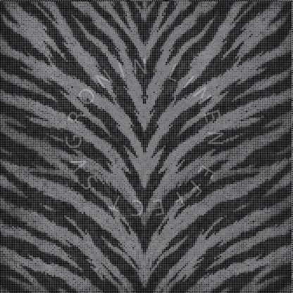 RONIN 5X5 TIGER VARIANT 2 & 3