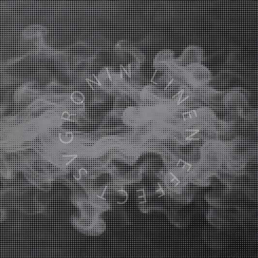RONIN 5X4 SMOKE EFFECT
