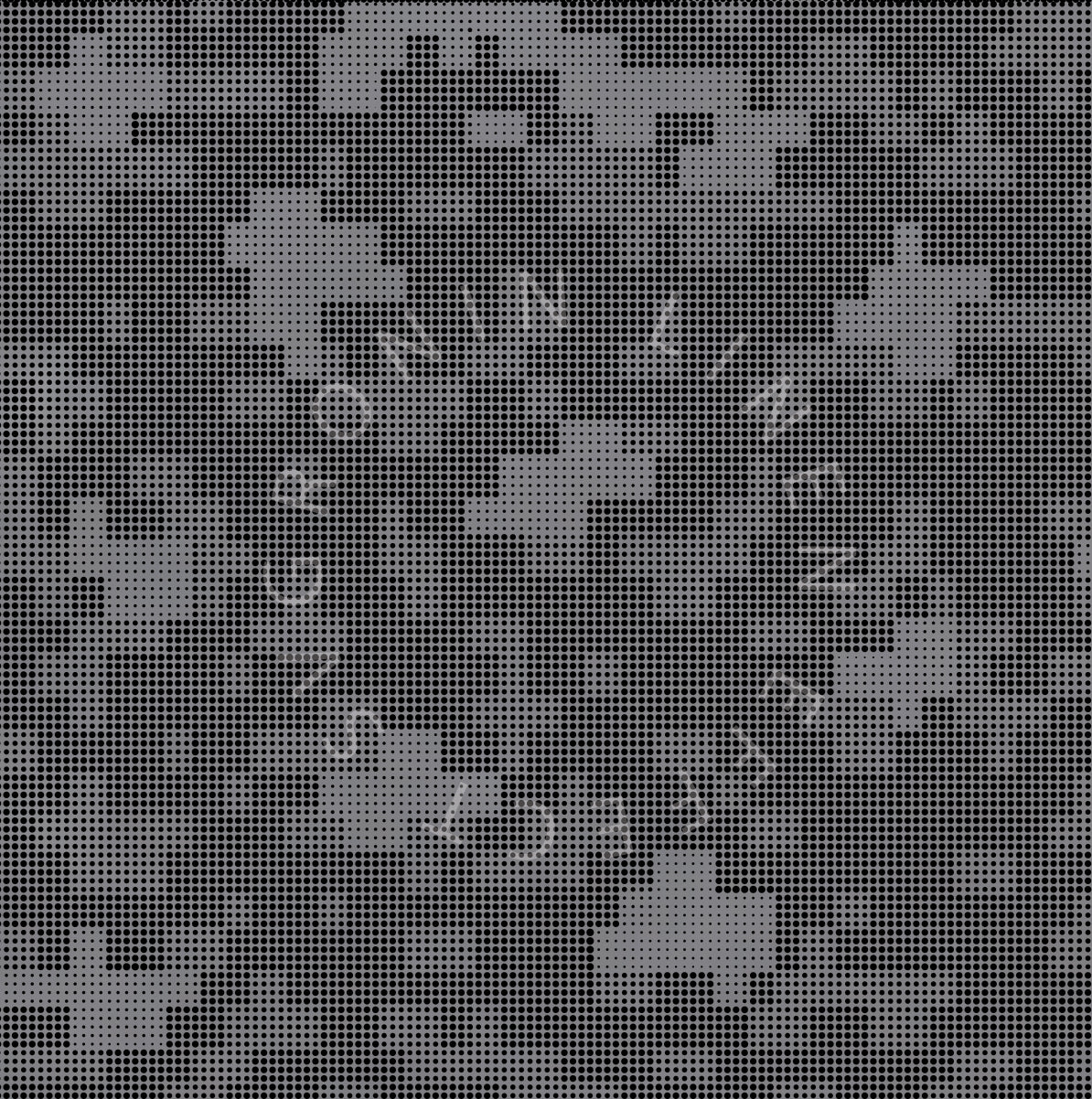 RONIN 6X4 & 5x5 DIGITAL CAMO (updated w/ 2 versions)
