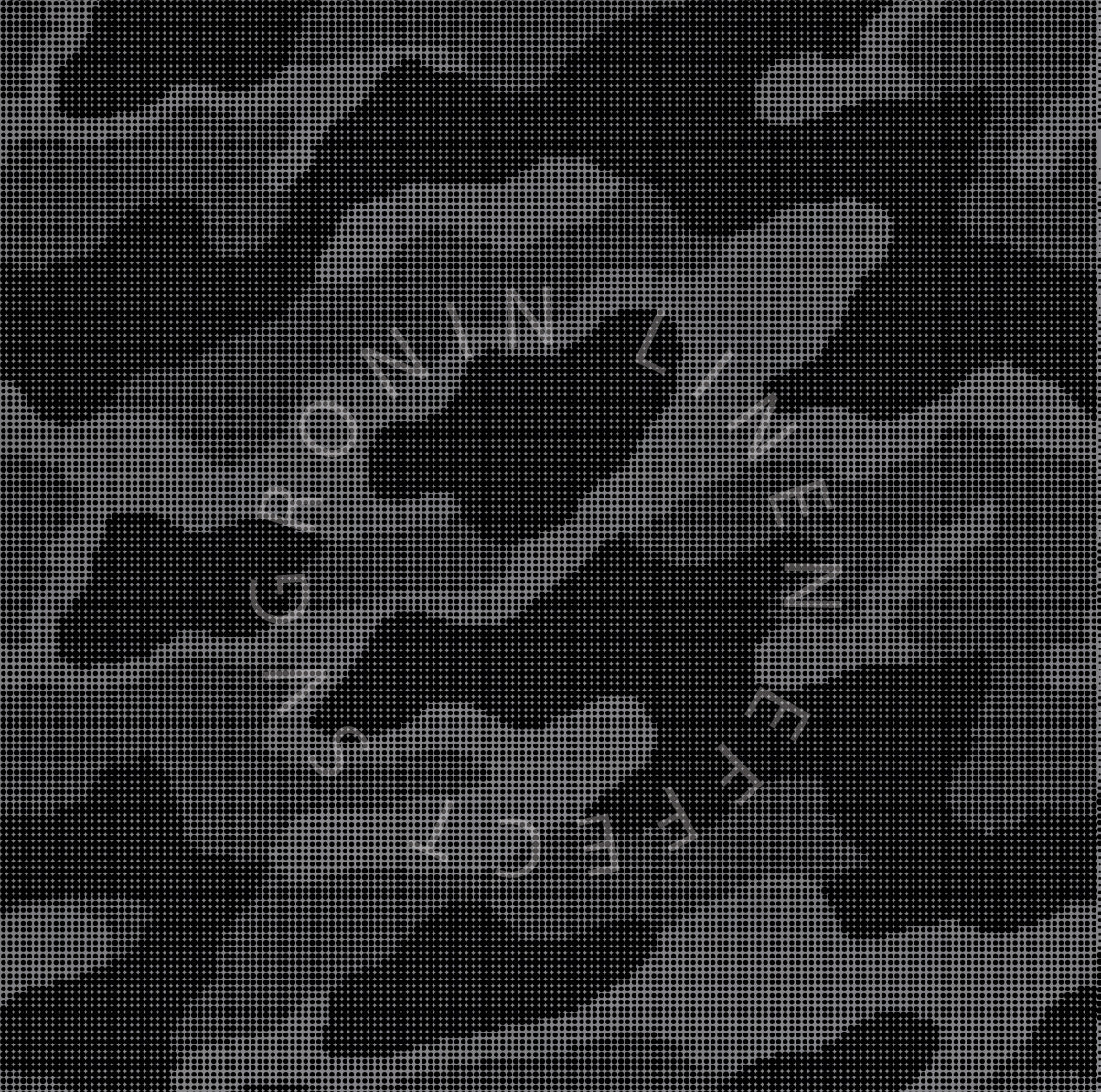RONIN 4X4 CAMO VARIANT