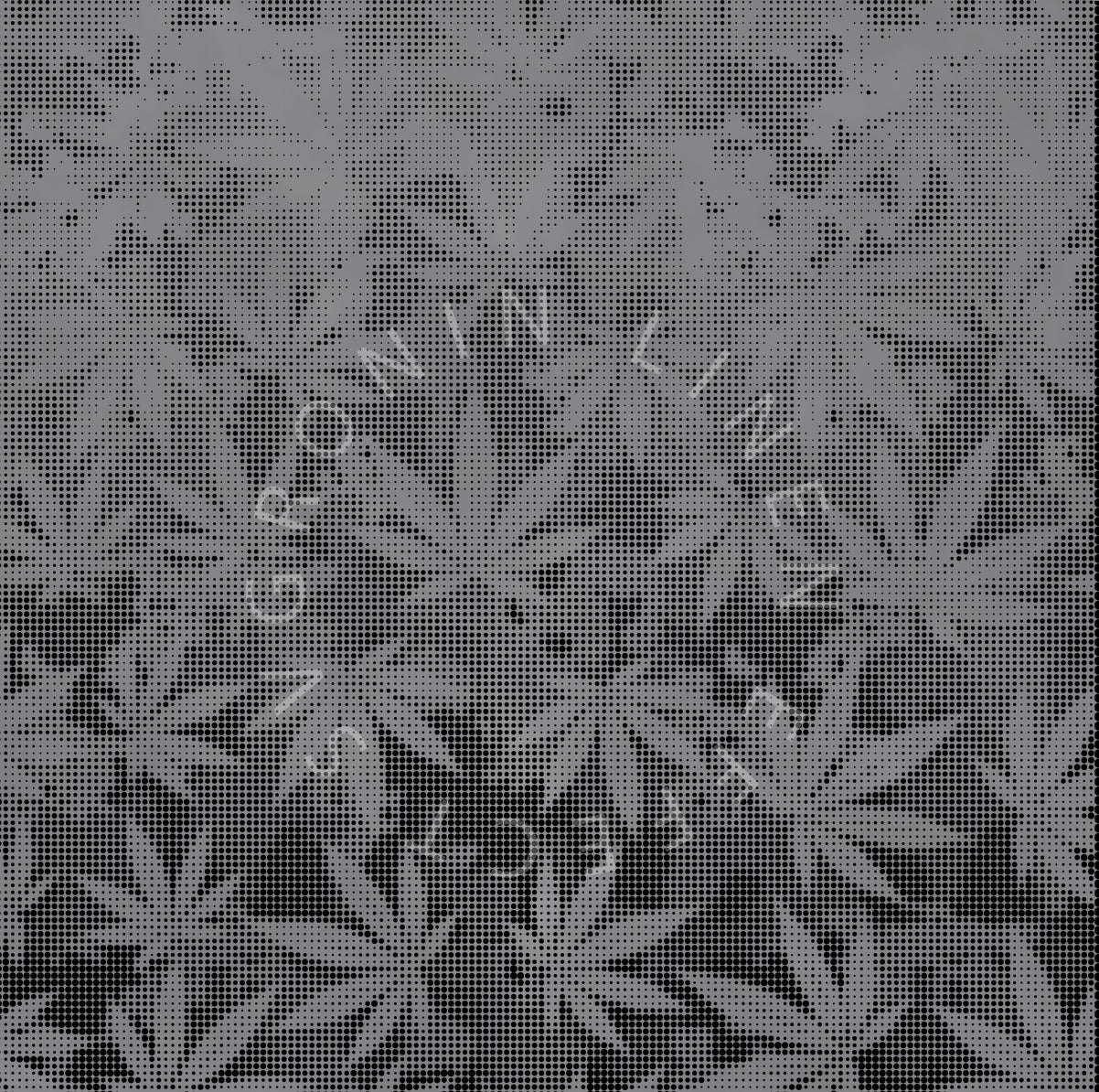 RONIN 4X4 GANJA VIBE