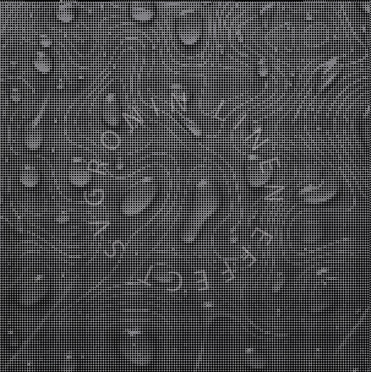 RONIN 4X4 WET TOPOGRAPHIC