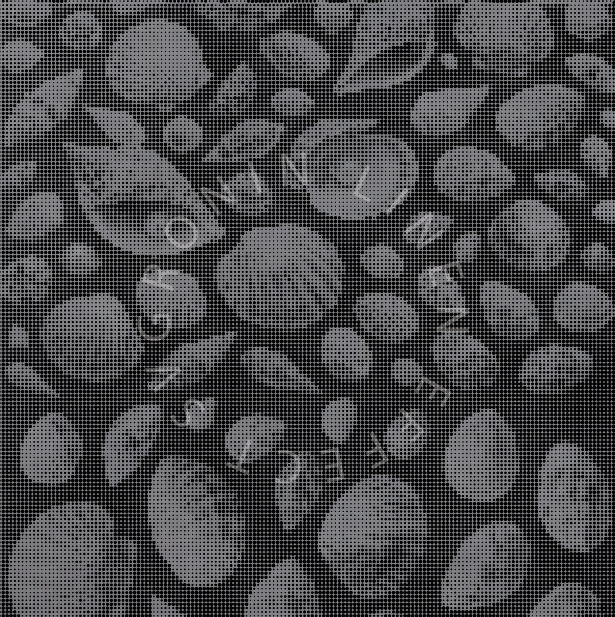 RONIN 5X5 SEASHELL VARIANT