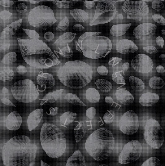 RONIN 5X5 SEASHELL VARIANT
