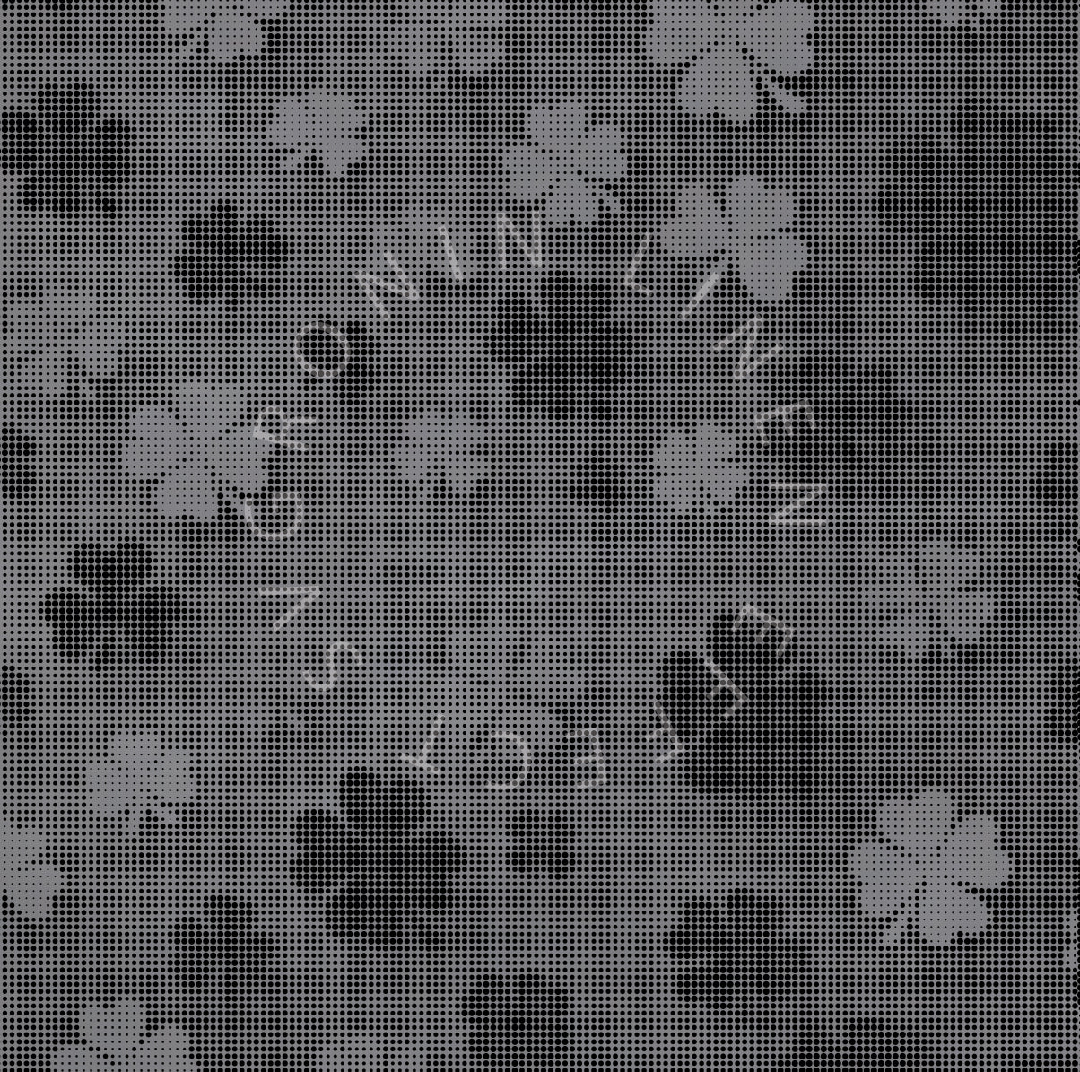RONIN 5X5 CLOVER VARIANT2