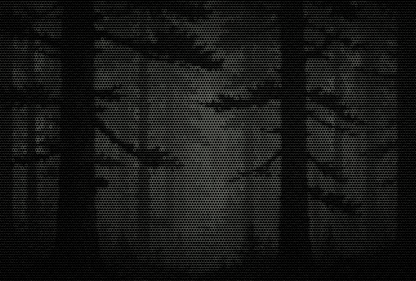 RONIN PINE BUNDLE (3X VERSONS)