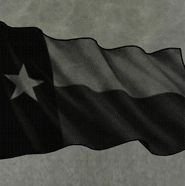 RONIN 5X3 TEXAS WAVING FLAG (2)