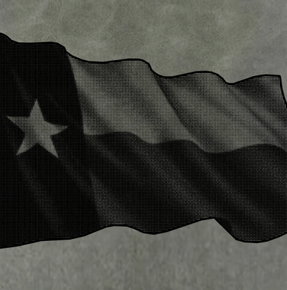 RONIN 5X3 TEXAS WAVING FLAG (2)